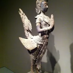 Thai bird man