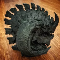 The Dragon Head