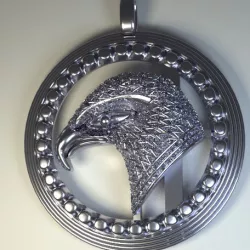The Thunder Bird.
