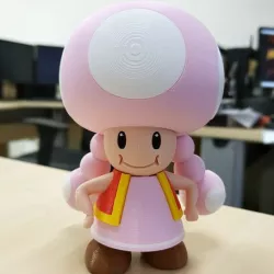 Toadette from Mario games - Multi-color