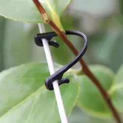 Tomato Clips Trellis, Vegetable Binder (Garden)