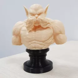 Toppo STL - Dragon Ball Super - 3D Print Model