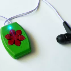 Triena. New case "Flower".