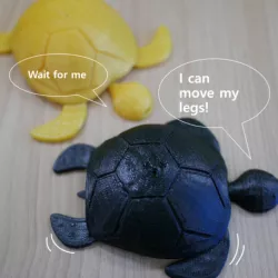 Turtle with moving legs