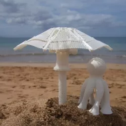 Umbrella / Parasol