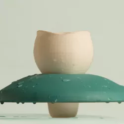 Water lily: the Floating Mug