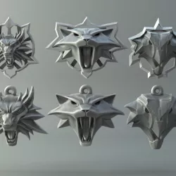 Witcher amulet collection