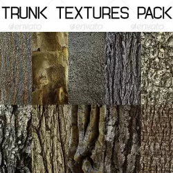 10 Bark Texture Pack