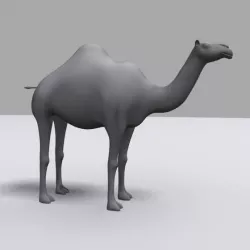 3D Camel Model