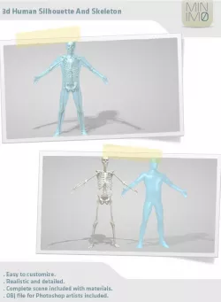 3d Human Silhouette And Skeleton