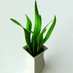 3D Models Potted Plant-2