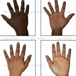 46 Human Hand Texture Pack