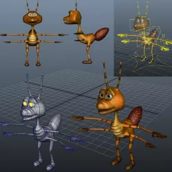 Ant Model