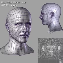 Base Mesh Human Head