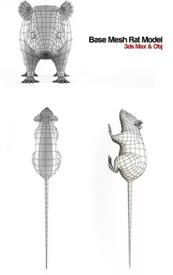 Base Mesh Rat Model