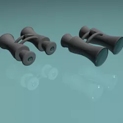 Binocular