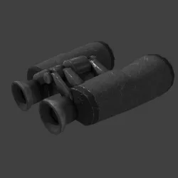 Binocular