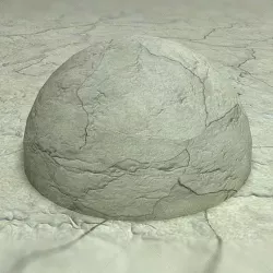 Bone Seamless Texture