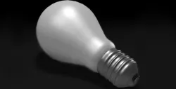 Bulb
