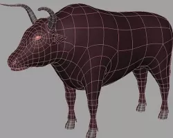 Bull