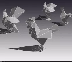 Chicken
