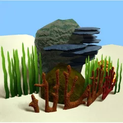 Coral