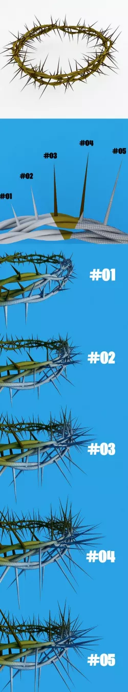 Crown of thorns