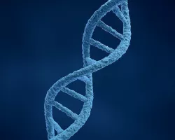 DNA Structure