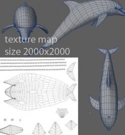 model load in dolphin | Page 1 | STLFinder