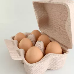 Eggs