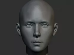 Female Anatomy Model Angela