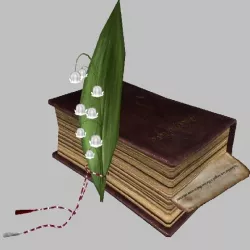 Flower And Book Gift