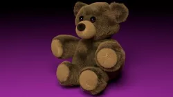 Fluffy Teddy Bear