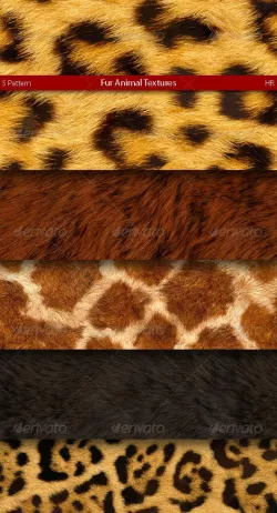 Fur Animal Texture