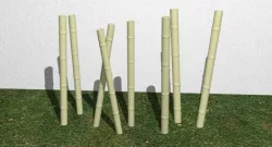 Garden Decorative Canes.