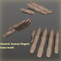 Generic human fingers base mesh