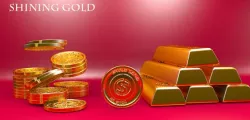 Gold Coins And Bars