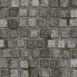 Granite Pavement 1