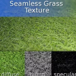 Grass Seamless Texture