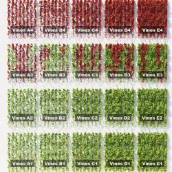 Hanging plants - 20 set - ivy