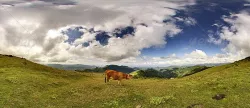 HDRi Images Nature