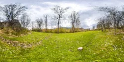 HDRI Tree And Grass Field