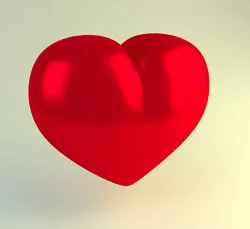 Heart