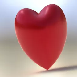 Heart