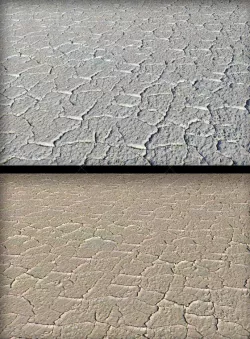 High Rez Tileable Cracked Ground or Sand Texture