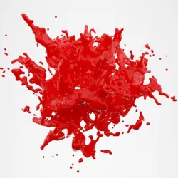 Highly Detailed Splash Model