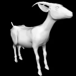 Home goat