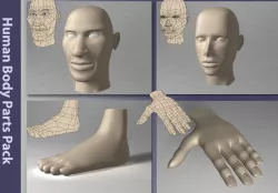 Human Body Parts Pack