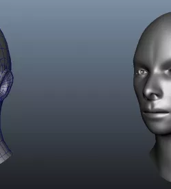Human Head