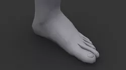 Human Male Foot Low Poly